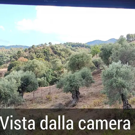 Silichella